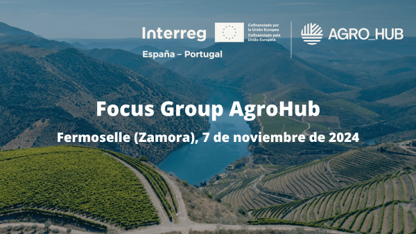 Focus Group Agrohub - Fermoselle